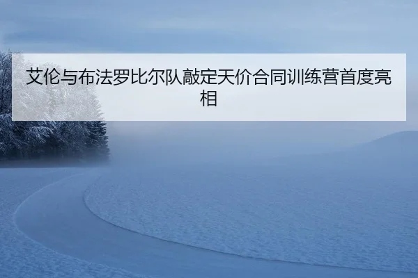 艾伦与布法罗比尔队敲定天价合同训练营首度亮相