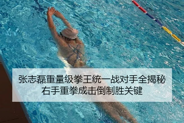 张志磊重量级拳王统一战对手全揭秘 右手重拳成击倒制胜关键