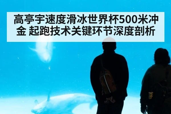 高亭宇速度滑冰世界杯500米冲金 起跑技术关键环节深度剖析